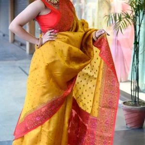 Sambalpuri Saree
